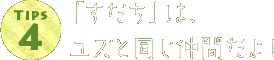 「すだち」は、ユズと同じ仲間だよ！